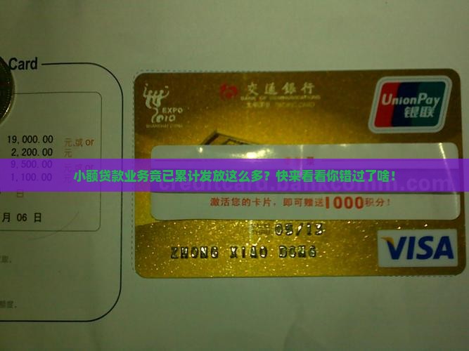 小额贷款业务累计发放