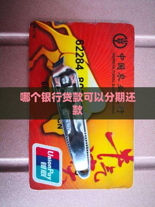 哪个银行贷款分期还款