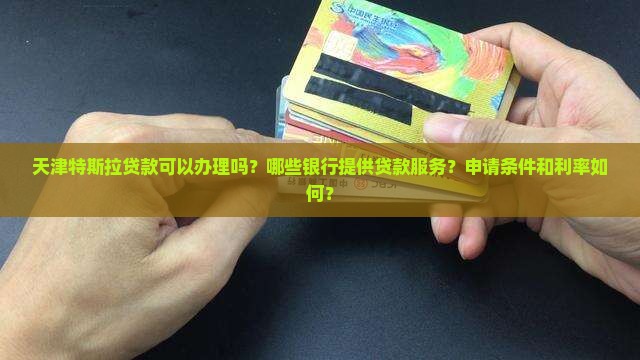 天津特斯拉贷款银行 天津特斯拉贷款银行
