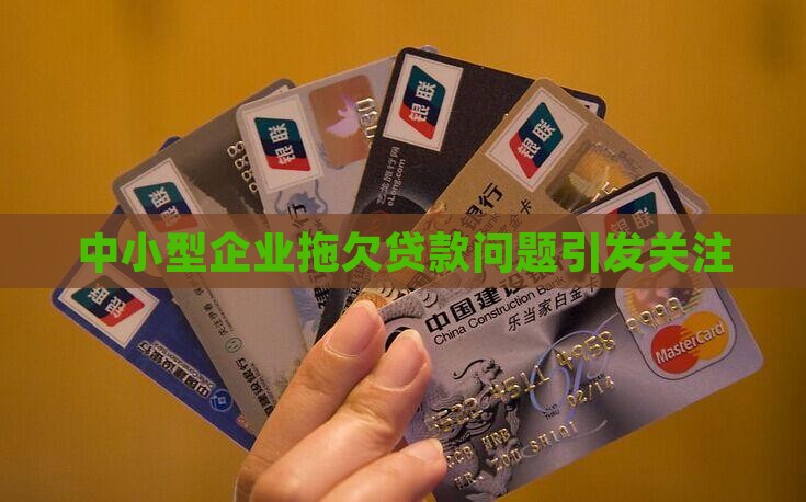 小型公司拖欠贷款 小型公司拖欠贷款