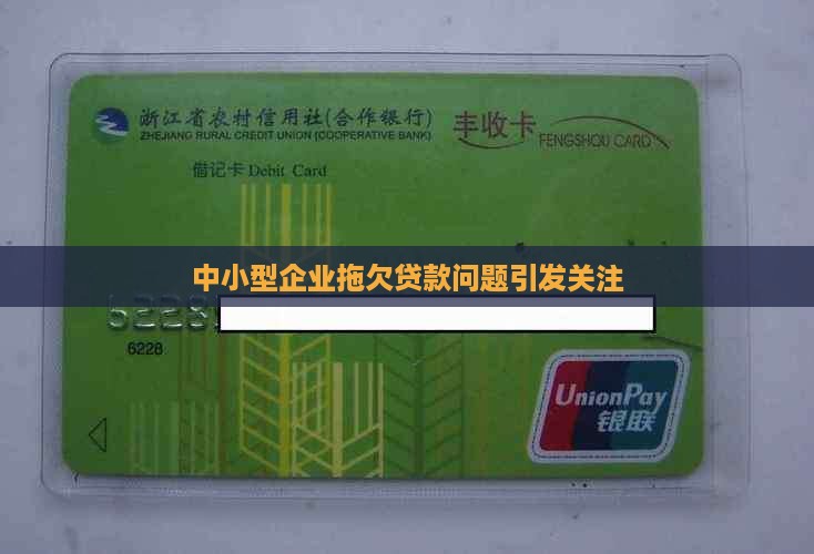 小型公司拖欠贷款 小型公司拖欠贷款