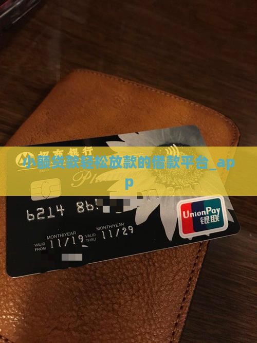 千元小额贷款容易下款app