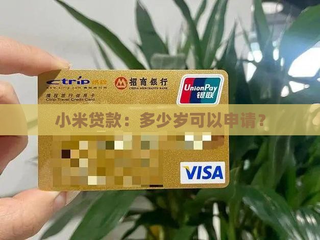 小米借条多少岁可以贷款