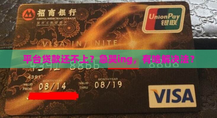 平台贷款没钱还怎么办