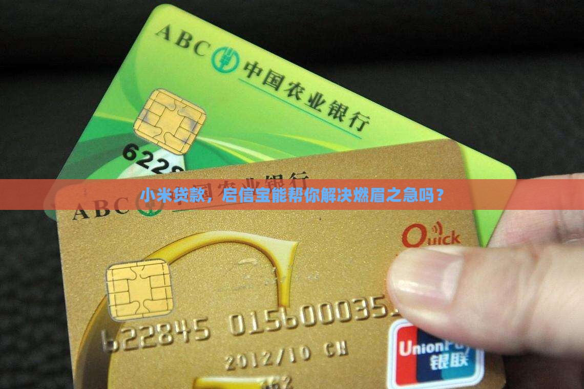 小米贷款启信宝