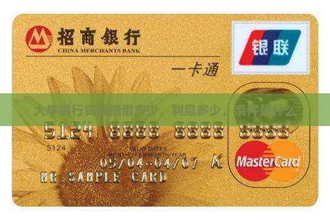 大学银行贷款能借多少