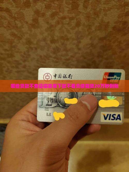 哪些贷款不查征信