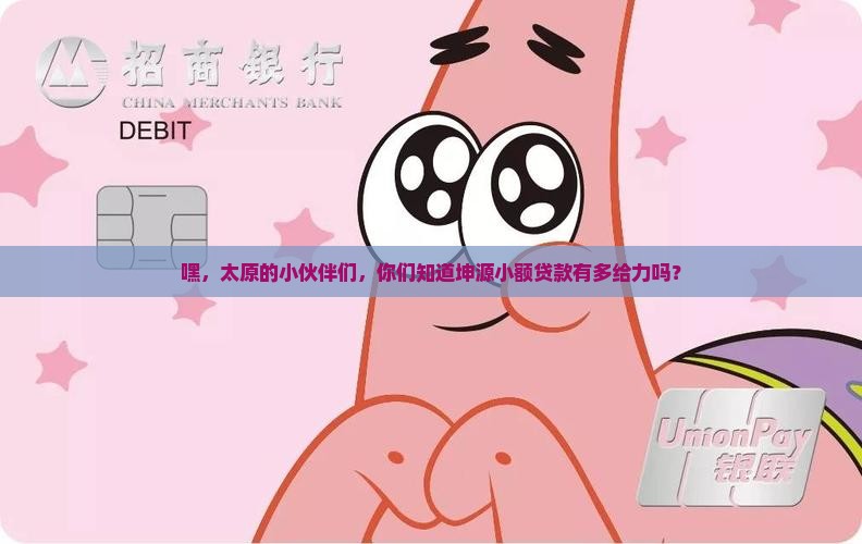 太原市坤源小额贷款