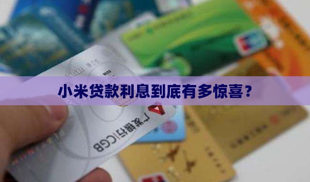 小米小额贷款利息多少