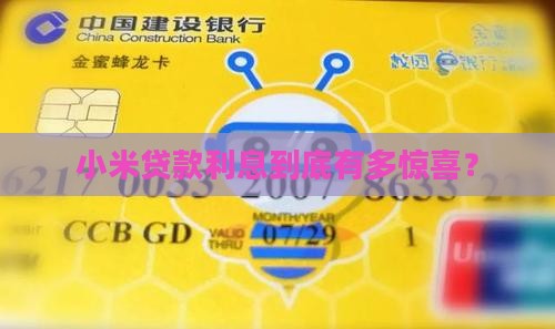 小米小额贷款利息多少