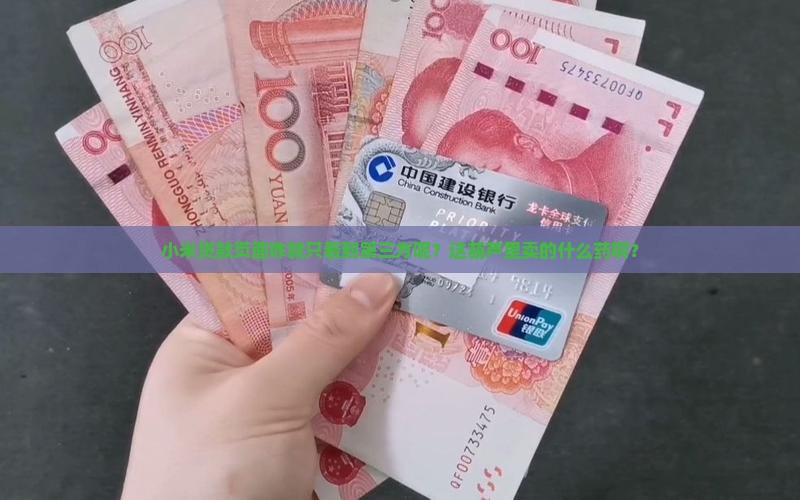 小米贷款只看到第三方