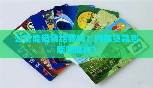 怎么向自己所在公司贷款