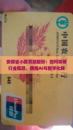 安徽省小额贷款股份