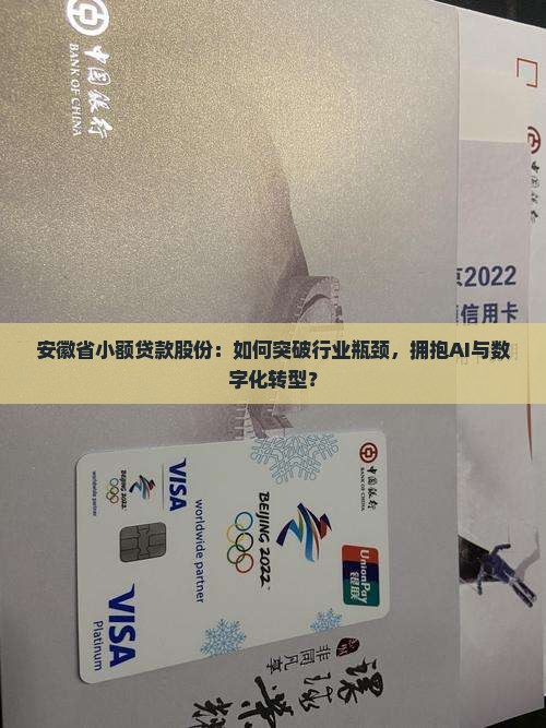 安徽省小额贷款股份