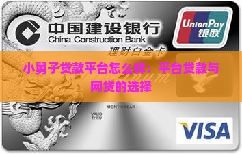 小舅子贷款平台怎么样