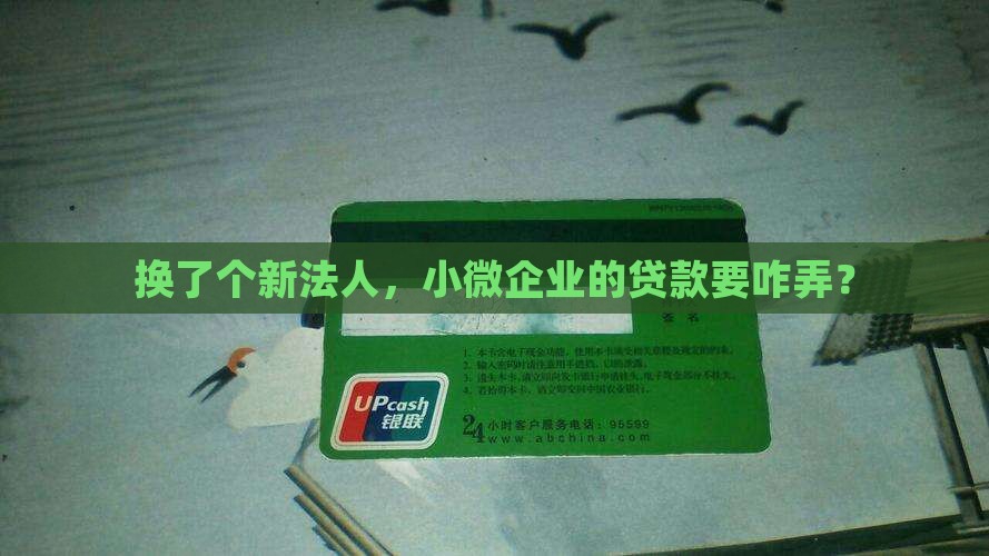 小微企业新法人贷款怎么贷