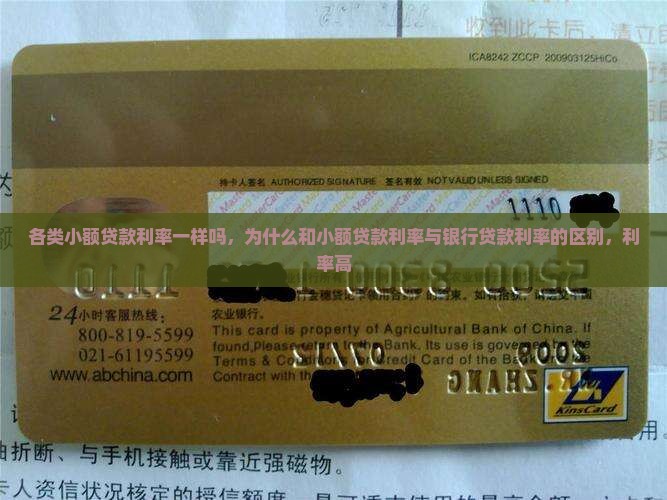 各类小额贷款利率一样吗