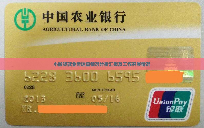 小额贷款业务运营情况