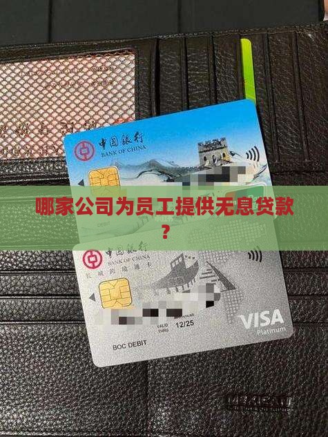 哪个公司有无息贷款的