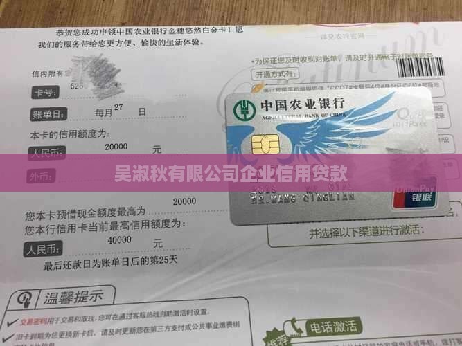 吴淑秋企业信用贷款