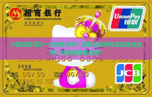 小额贷款能一次还款吗