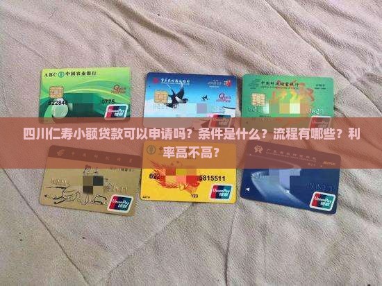 四川仁寿小额贷款