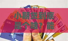 小期贷是贷款平台吗
