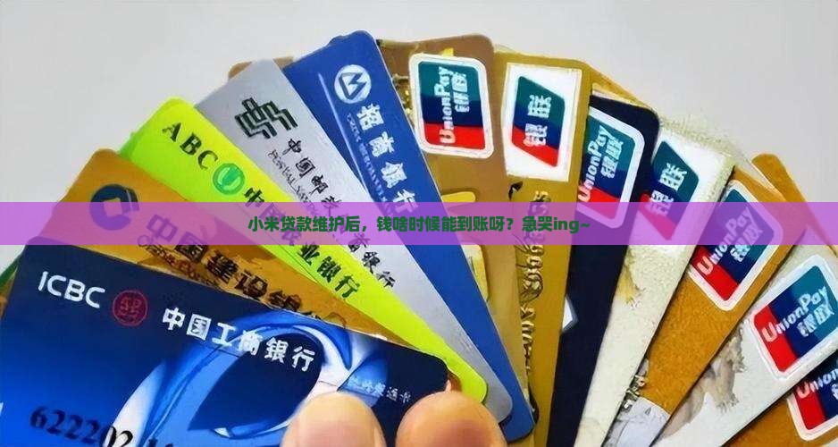 小米贷款维护要多久到账