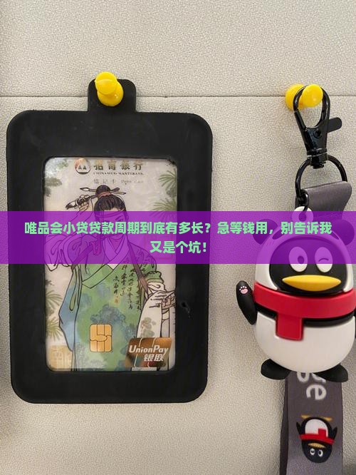唯品会小贷贷款周期