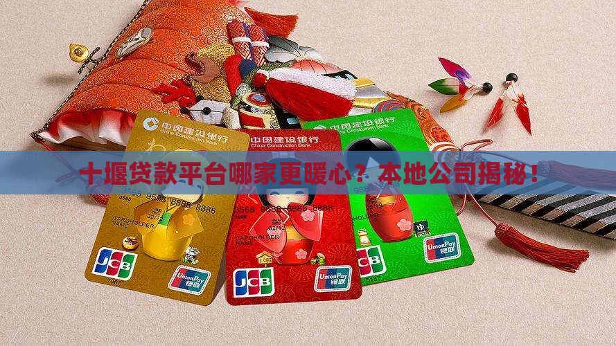 十堰本地贷款平台公司