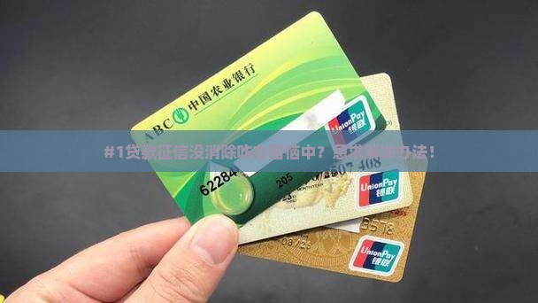 征信未消除贷款怎么办啊