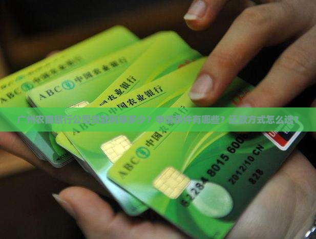 广州农商银行公司贷款