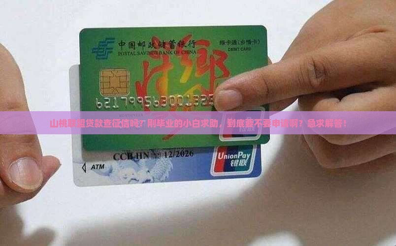 山桃联盟贷款查征信吗