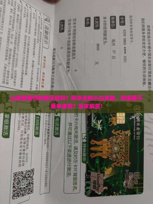 山桃联盟贷款查征信吗