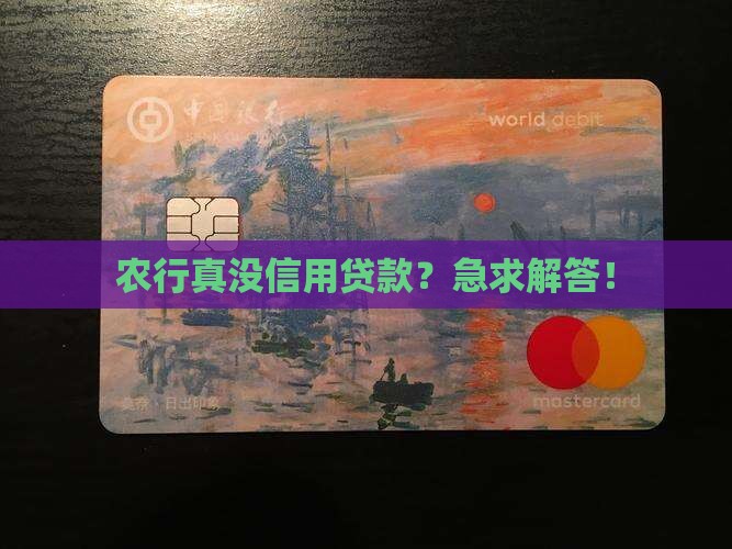 农行有没有信用贷款业务
