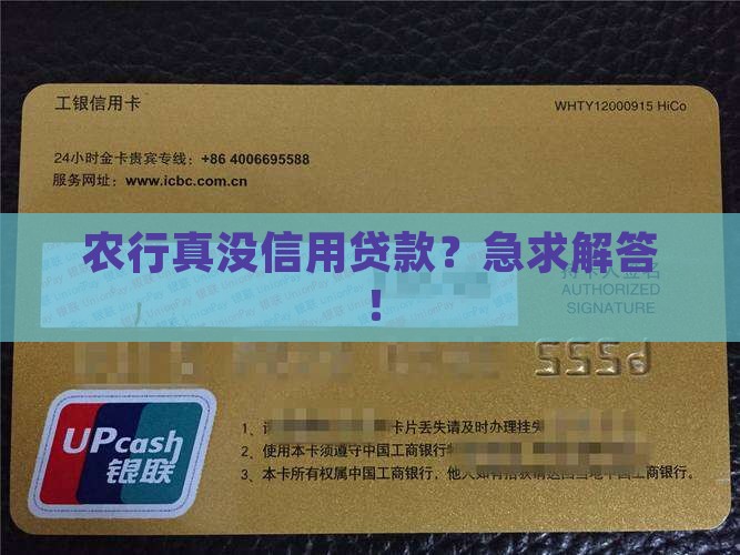 农行有没有信用贷款业务