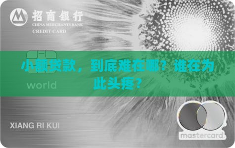 小额贷款的受众痛点