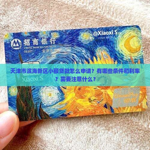 天津市滨海新区小额贷款
