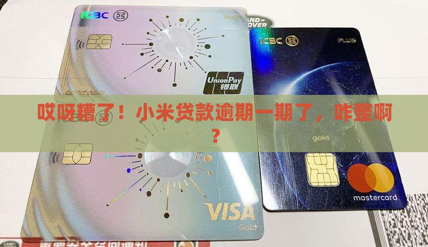 小米贷款逾期一期怎么还
