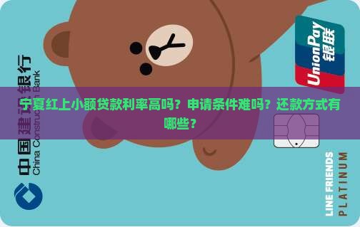 宁夏红上小额贷款