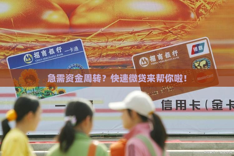 快速微小额贷款