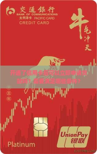 开通了信用卡可以立马贷款吗