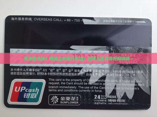 天津有网贷去哪个银行贷款 天津有网贷去哪个银行贷款