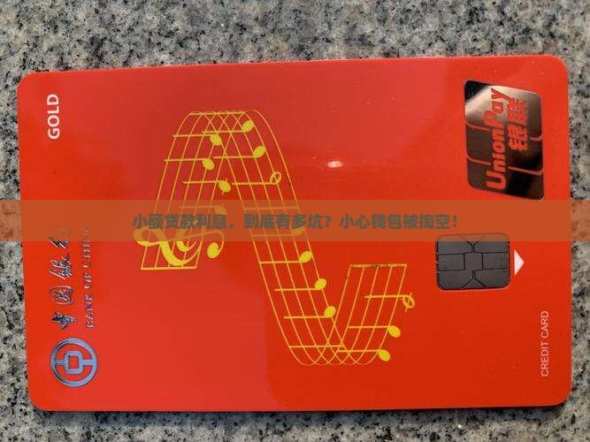 小额贷款平台利息