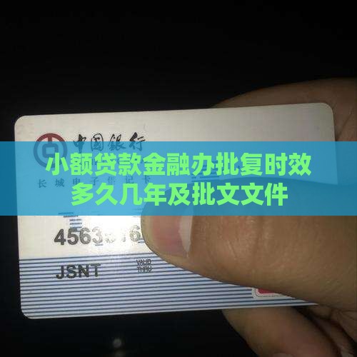 小额贷款金融办批复时效