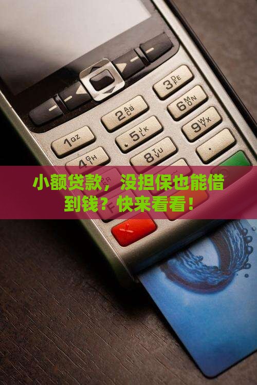 小额贷款需要有人担保吗