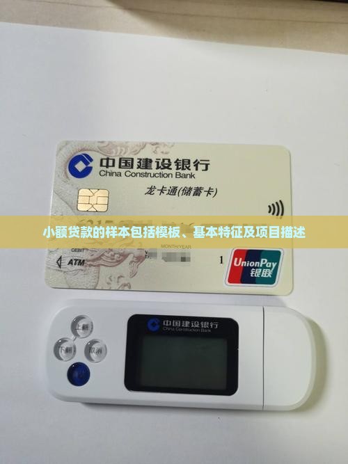 小额贷款的样本包括