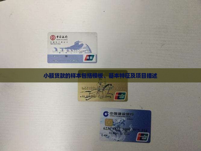 小额贷款的样本包括