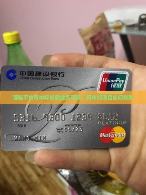 哪些平台有中标贷款
