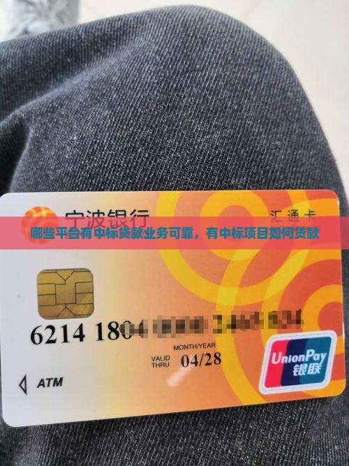 哪些平台有中标贷款